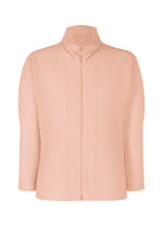 COLOR PLEATS 2