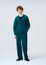 COLOR PLEATS 1、メンズ_トップス_カーディガン、着用画像1
