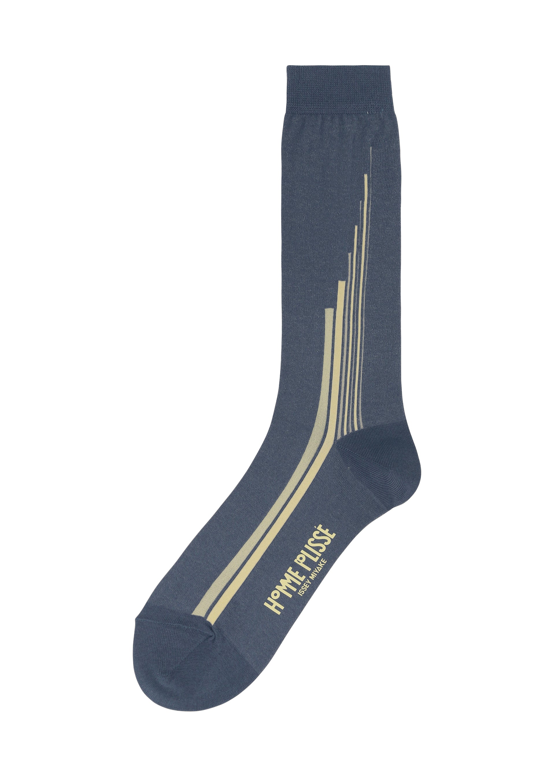 RAY SOCKS、アクセサリー&その他_レッグウェア&シューズ、ネイビー