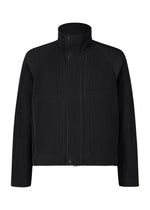 TAILORED PLEATS 1