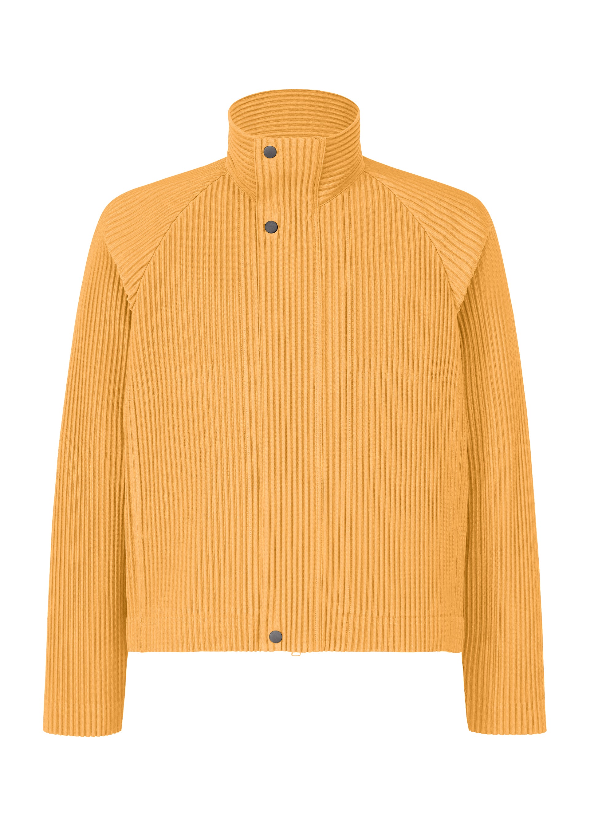 TAILORED PLEATS 1 – isseymiyake.com