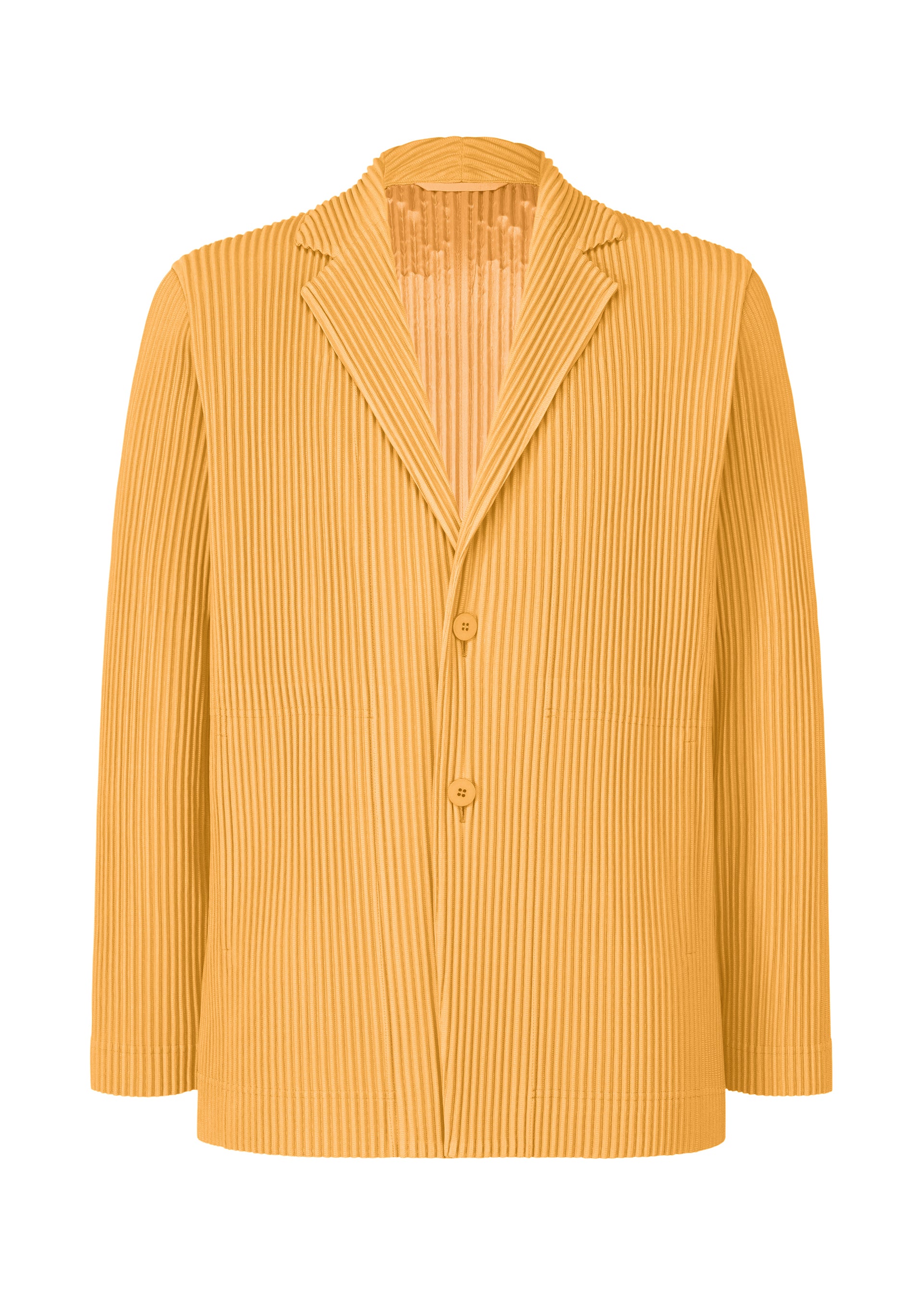 TAILORED PLEATS 1 – isseymiyake.com