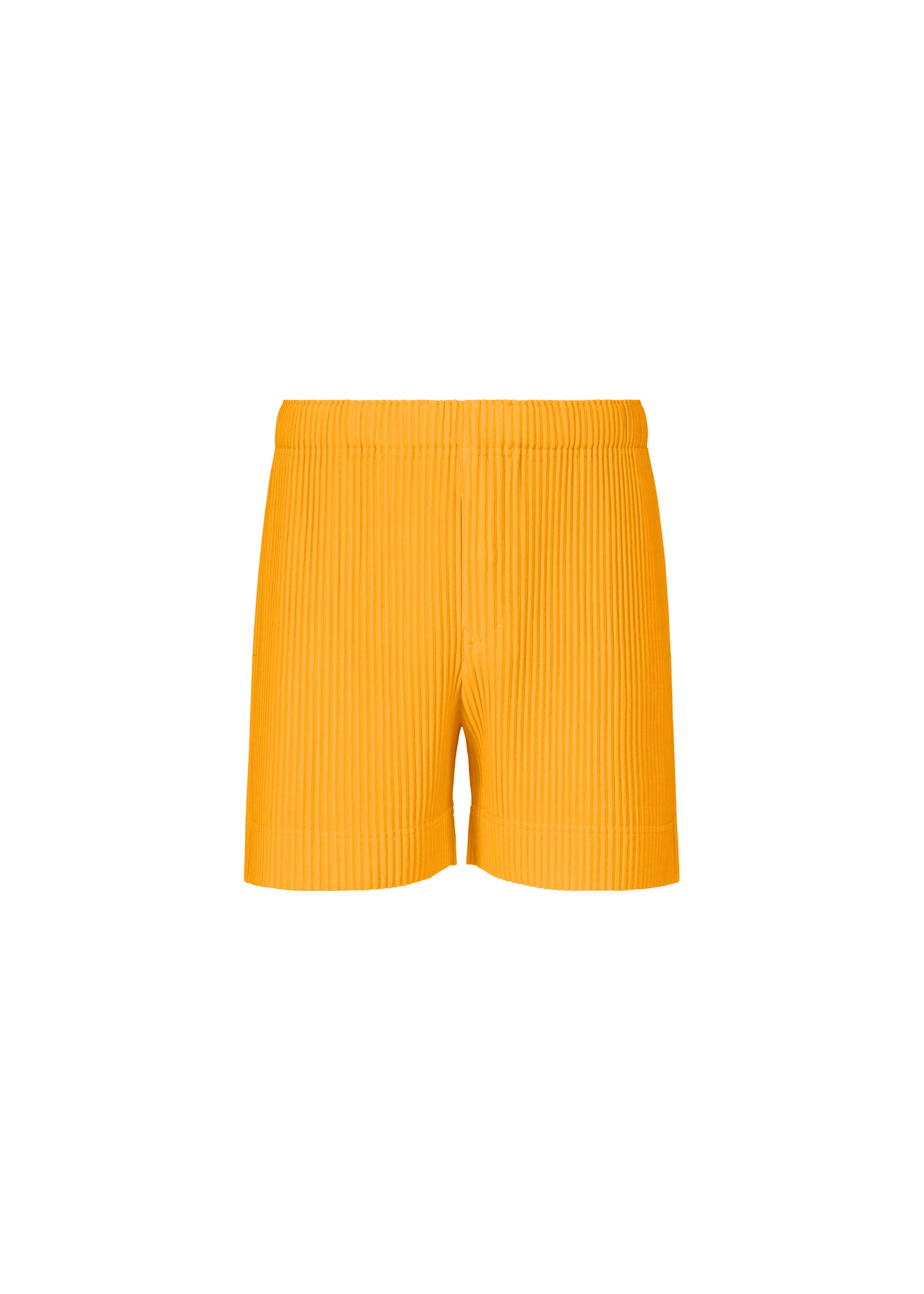 COLOR PLEATS 1、メンズ_パンツ、イエロー
