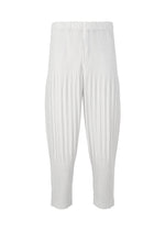 COLOR PLEATS 2