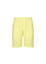 LACE GRID PLEATS、メンズ_パンツ、イエロー