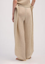 SHEER LINEN LIKE PLEATS、ウィメンズ_パンツ、着用画像3