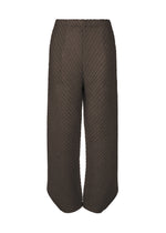 SHEER LINEN LIKE PLEATS、ウィメンズ_パンツ、パープル
