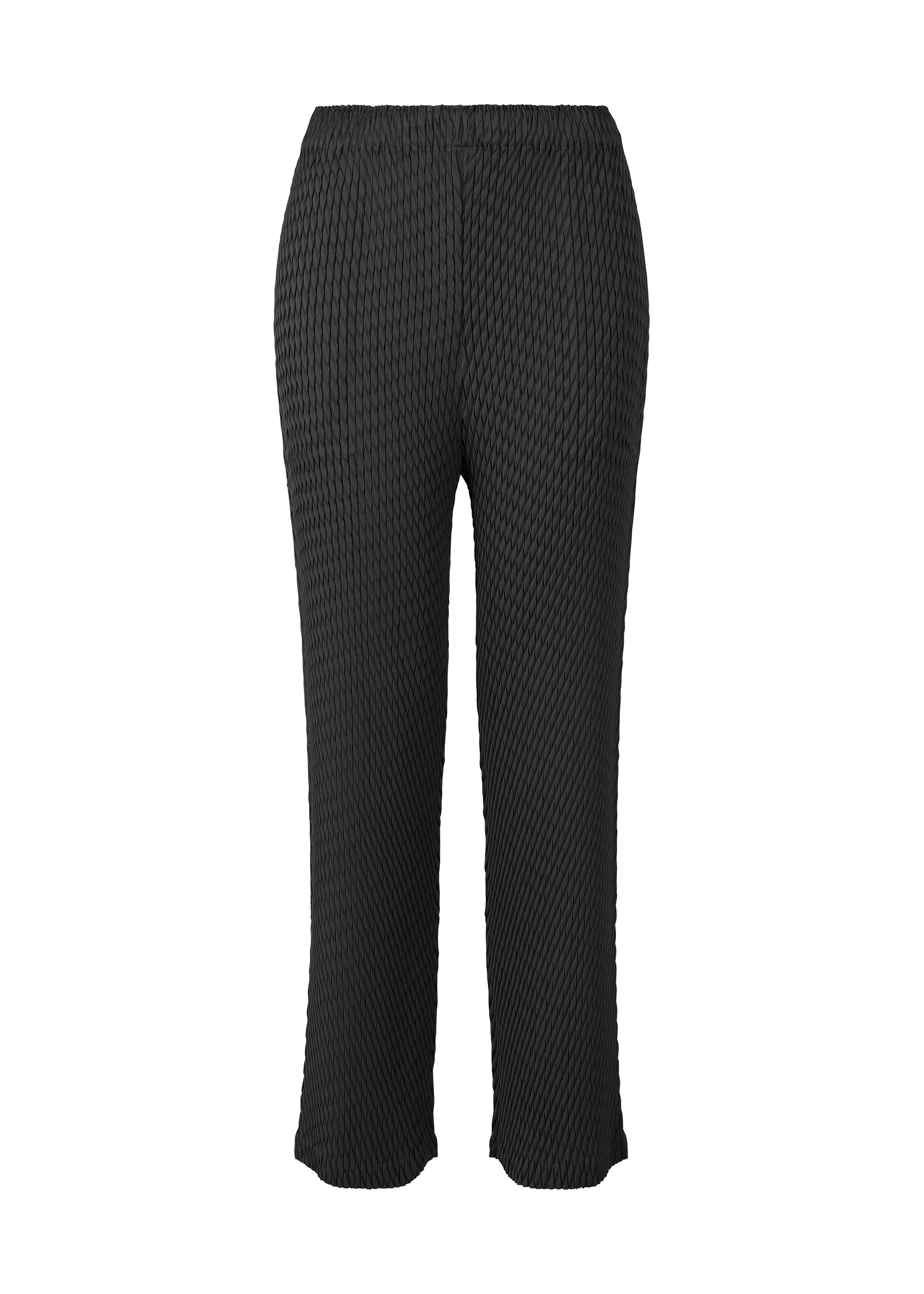 SLEEK PLEATS、ウィメンズ_パンツ、ブラック
