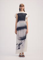SHADOW STUDY PLEATS、ウィメンズ_スカート、着用画像1