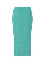 SLEEK PLEATS、ウィメンズ_スカート、ディテール画像1
