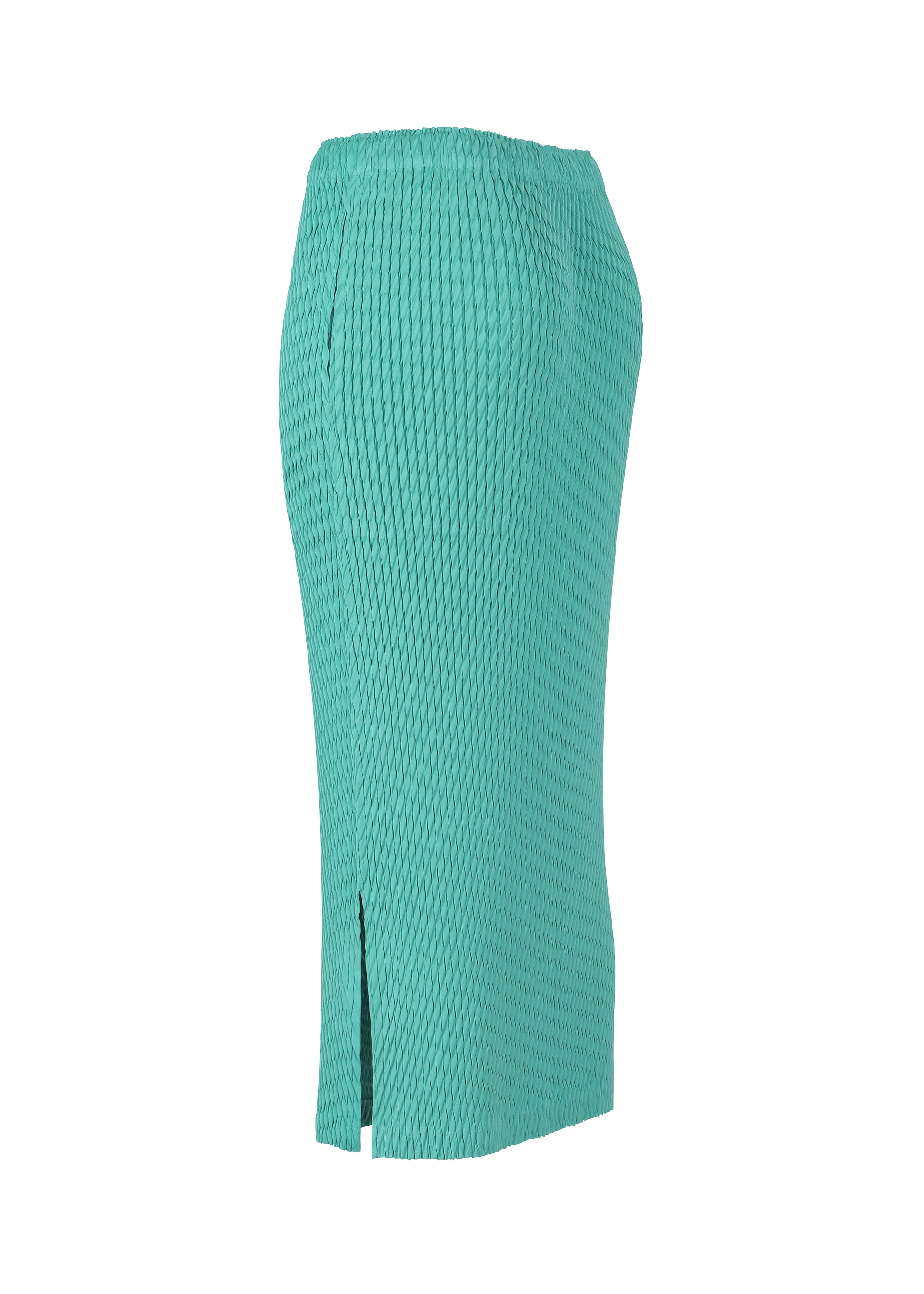 SLEEK PLEATS、ウィメンズ_スカート、ディテール画像2