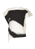 SHADOW STUDY PLEATS