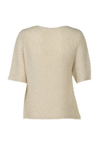 SHEER LINEN LIKE PLEATS、ウィメンズ_トップス_トップ、ディテール画像1