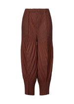 LINEN LIKE PLEATS、ウィメンズ_パンツ、ブラウン