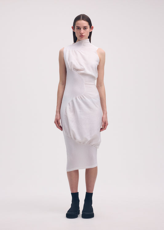 KNIT (CONTOUR) PLEATS、ウィメンズ_ワンピース、着用画像1