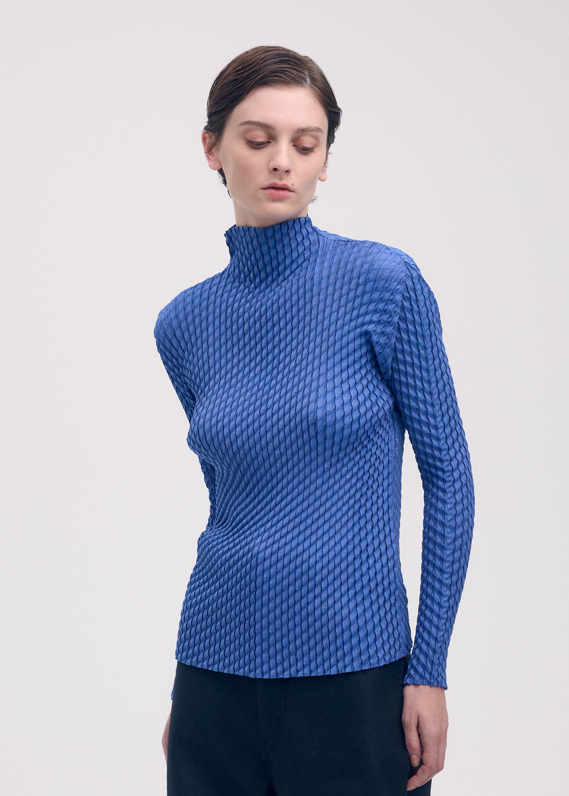 RESTORE BLEND PLEATS、ウィメンズ_トップス_トップ、着用画像2