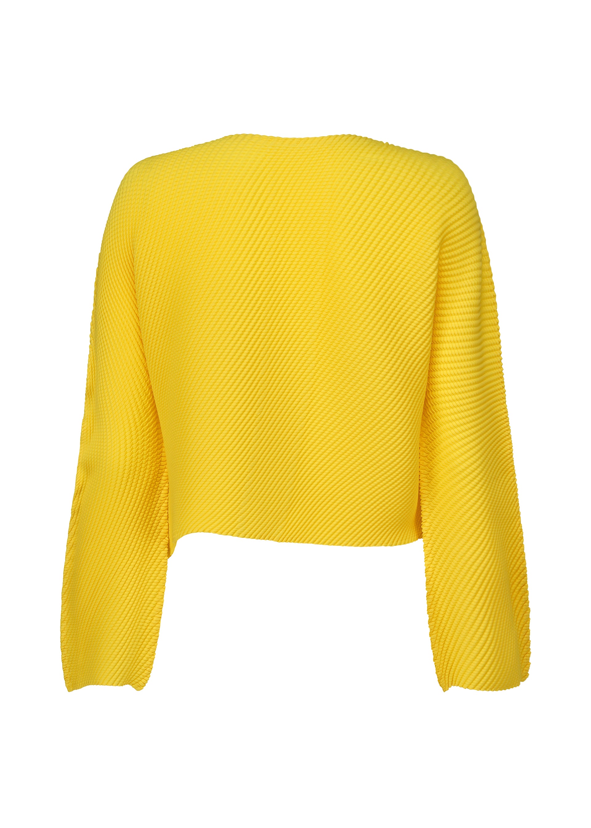 SHIFTED MISTY PLEATS、ウィメンズ_トップス_カーディガン、ディテール画像1