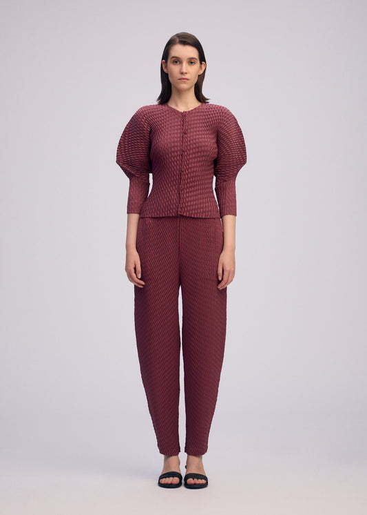 SLEEK PLEATS、ウィメンズ_パンツ、着用画像1