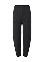 SLEEK PLEATS、ウィメンズ_パンツ、ブラック