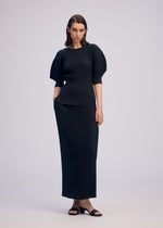 SLEEK PLEATS、ウィメンズ_スカート、着用画像2