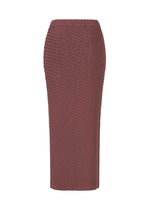 SLEEK PLEATS、ウィメンズ_スカート、ディテール画像1
