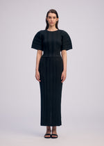 LINEN LIKE RIB PLEATS、ウィメンズ_スカート、着用画像1