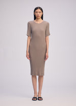 HATCHING PLEATS、ウィメンズ_ワンピース、着用画像1