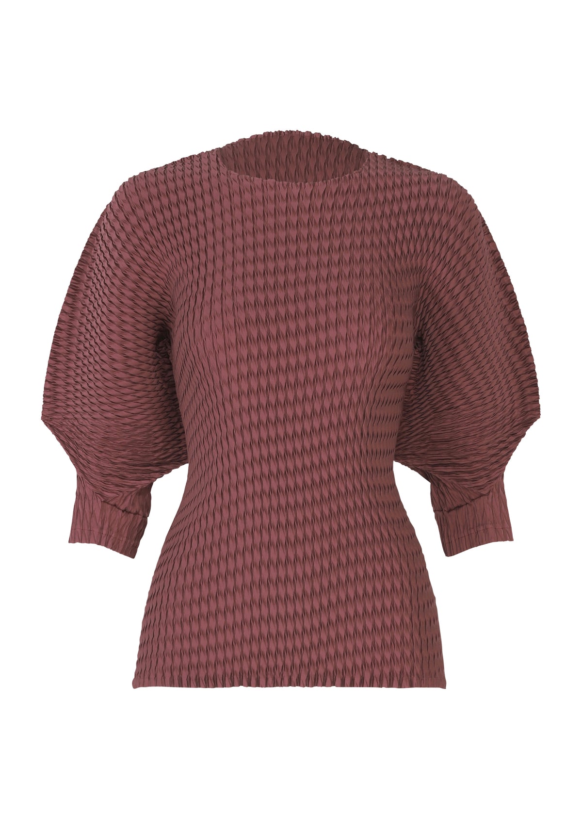 SLEEK PLEATS、ウィメンズ_トップス_トップ、パープル