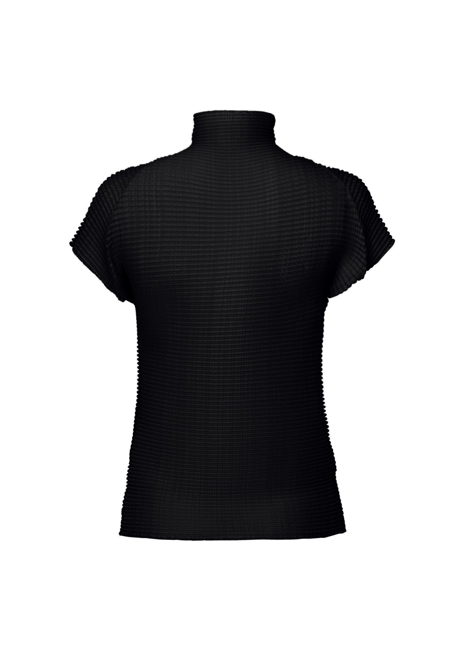ISSEY MIYAKE トップス　ウーリープリーツ　フレンチ袖　黒　2 WOOLY PLEATS BK/WT-66 – isseymiyake.com