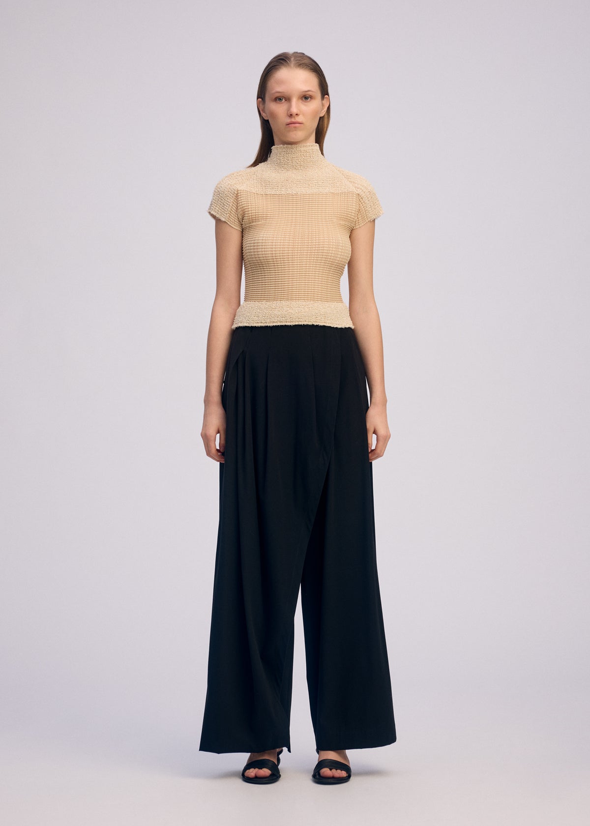 SHEER FUZZY PLEATS、ウィメンズ_トップス_トップ、着用画像1