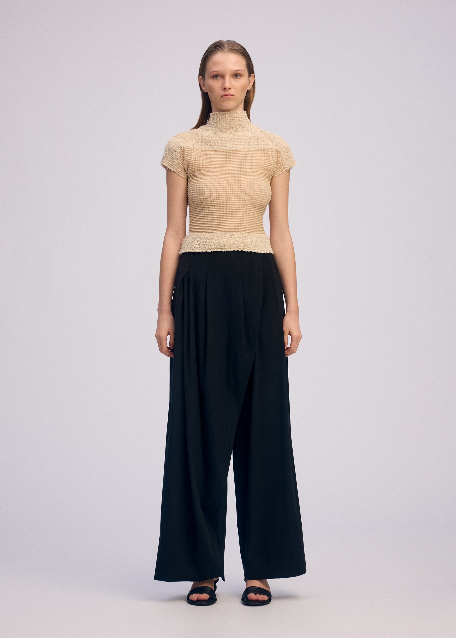 SHEER FUZZY PLEATS、ウィメンズ_トップス_トップ、着用画像1