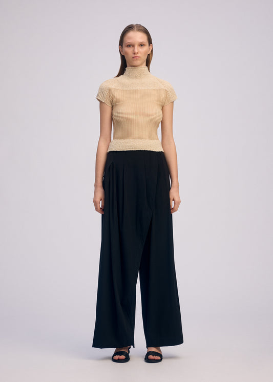 SHEER FUZZY PLEATS、ウィメンズ_トップス_トップ、着用画像1
