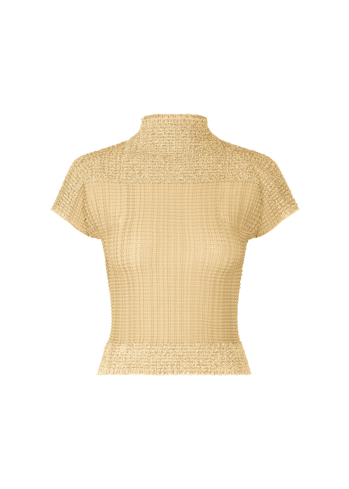 SHEER FUZZY PLEATS、ウィメンズ_トップス_トップ、ブラウン