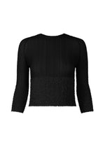 SHEER FUZZY PLEATS