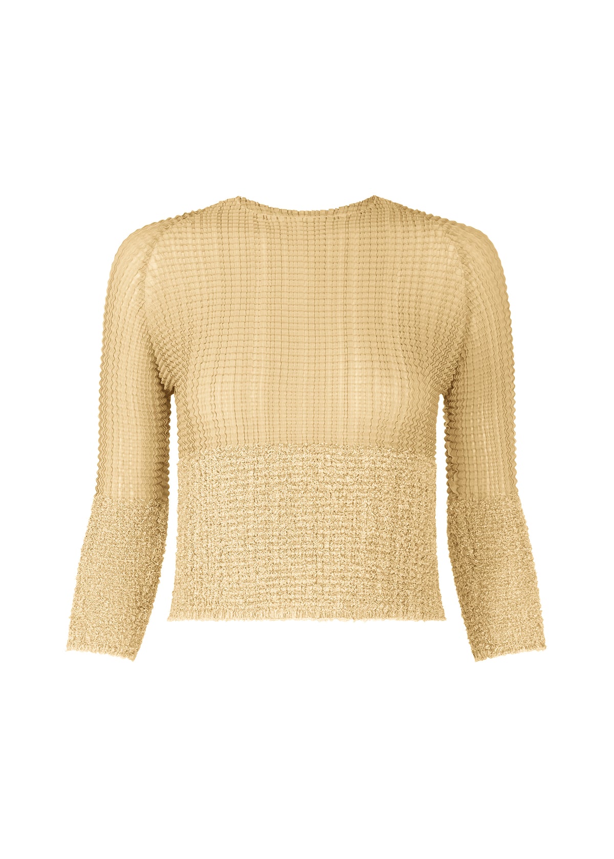SHEER FUZZY PLEATS、ウィメンズ_トップス_トップ、ブラウン