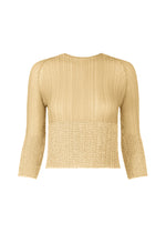 SHEER FUZZY PLEATS、ウィメンズ_トップス_トップ、ブラウン