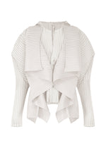 PLEATED ON PLEATS