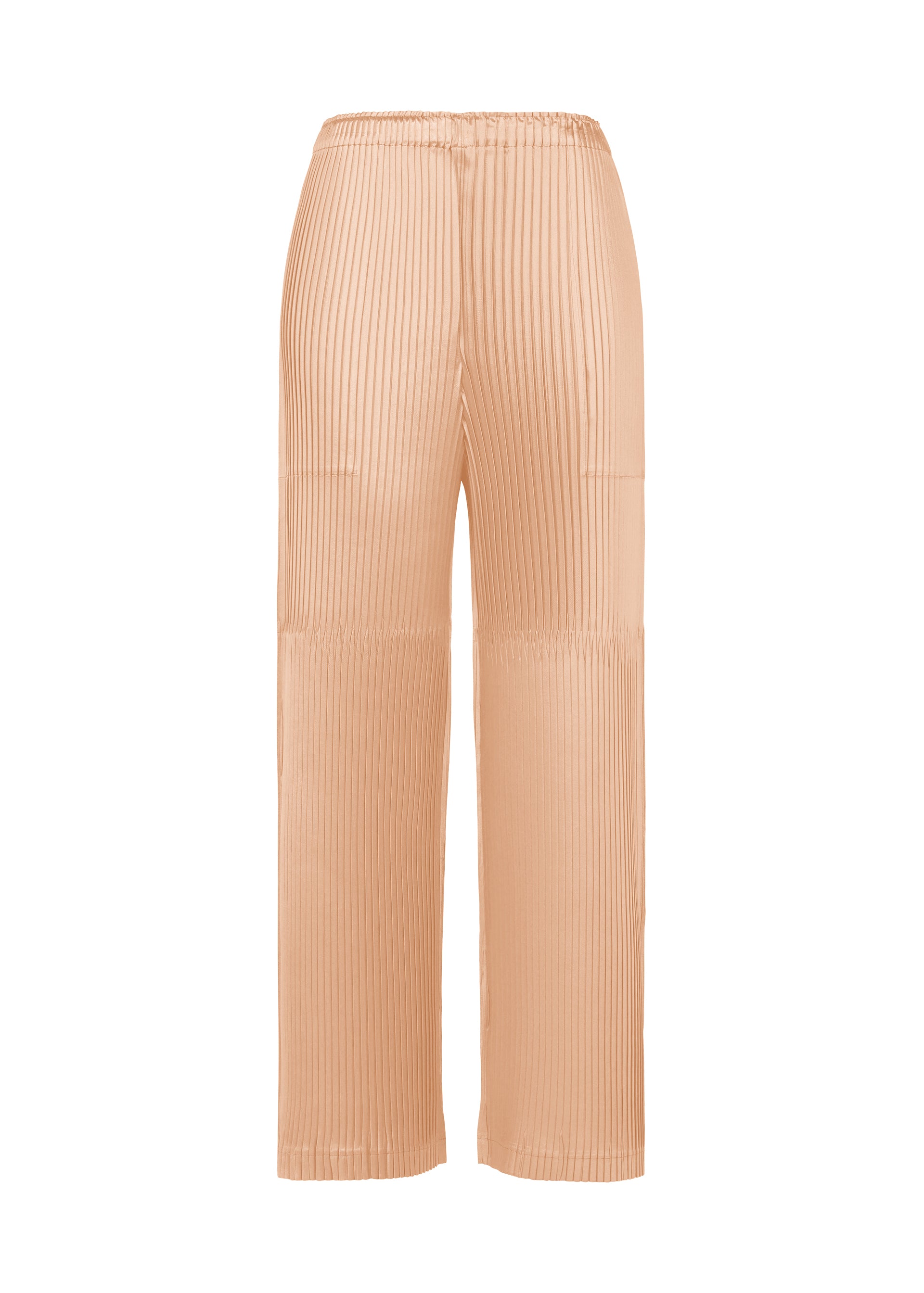 GLOSSED PANELS PLEATS – isseymiyake.com