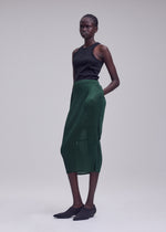 SHEER SLIT PLEATS、ウィメンズ_スカート、着用画像2