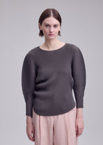 MISTY PLEATS、ウィメンズ_トップス_トップ、着用画像3