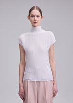 WOOLY PLEATS BK/WT-68、ウィメンズ_トップス_トップ、着用画像2