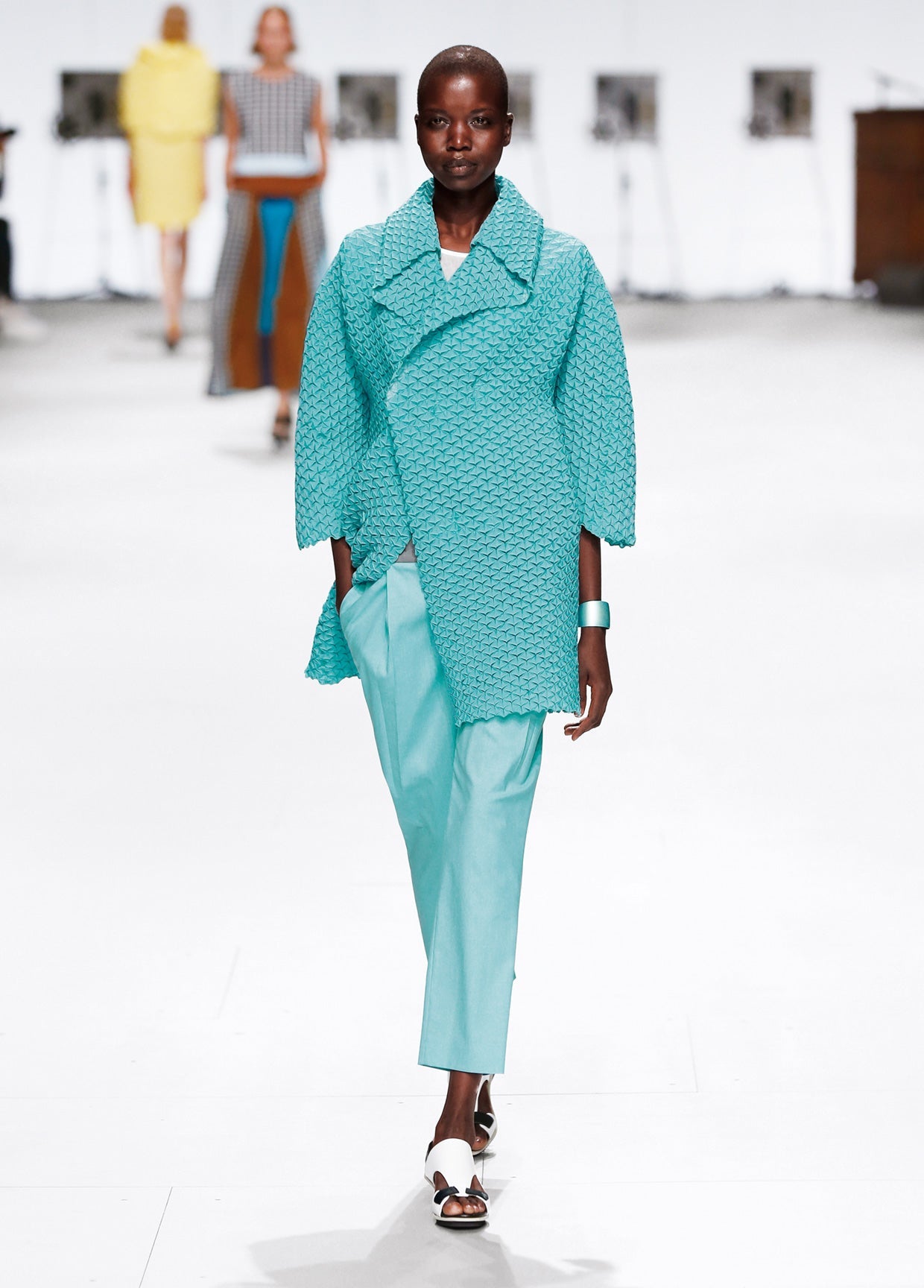 ISSEY MIYAKE SPRING SUMMER 2015 コレクション 26