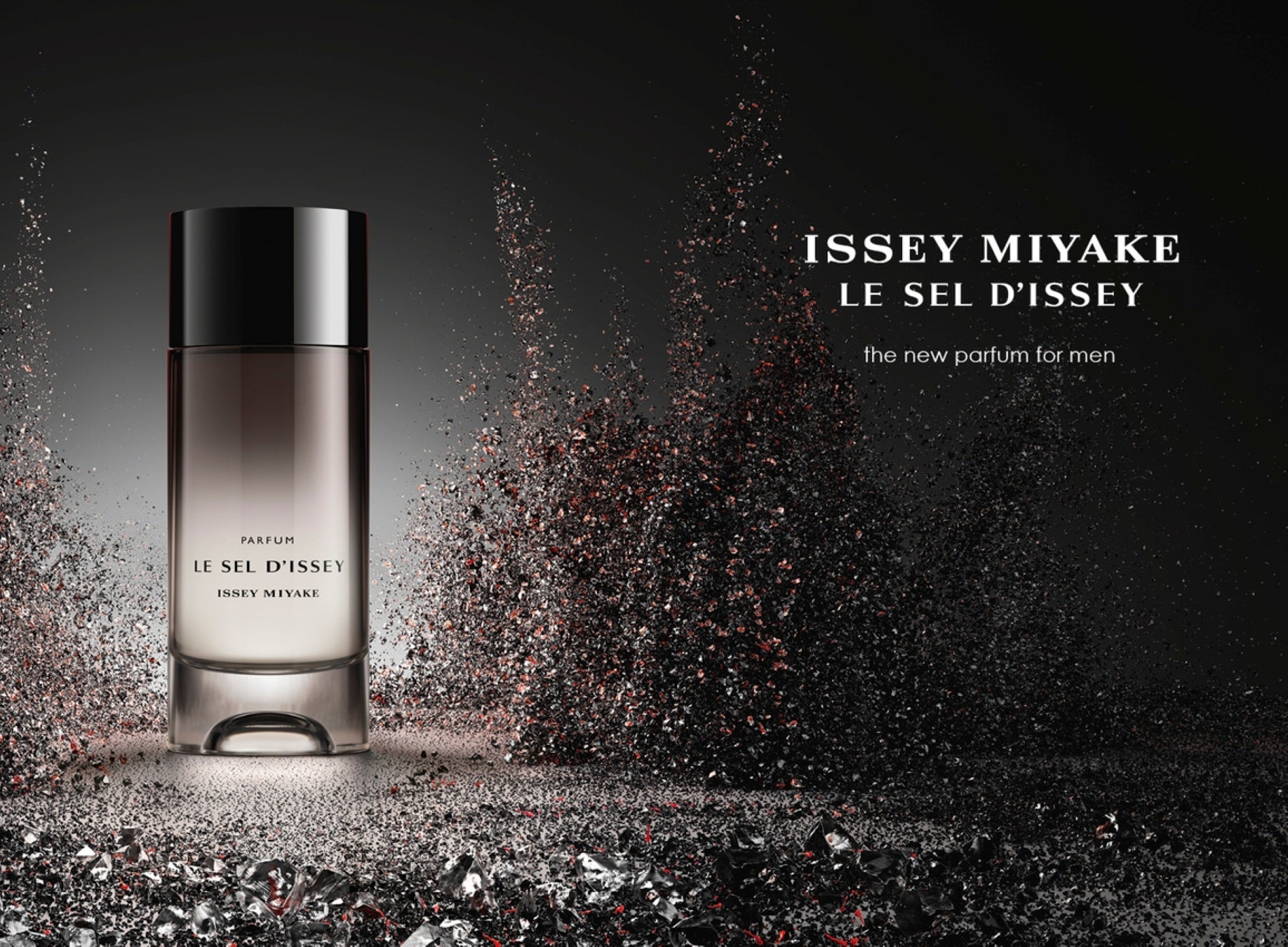 【極美品】ISSEYMIYAKE PLIATSPLIASE メルティリブ 高級 ISSEY MIYAKE PARFUMS – isseymiyake.com