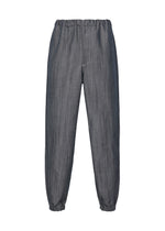 PLEATS DENIM、メンズ_パンツ、ネイビー