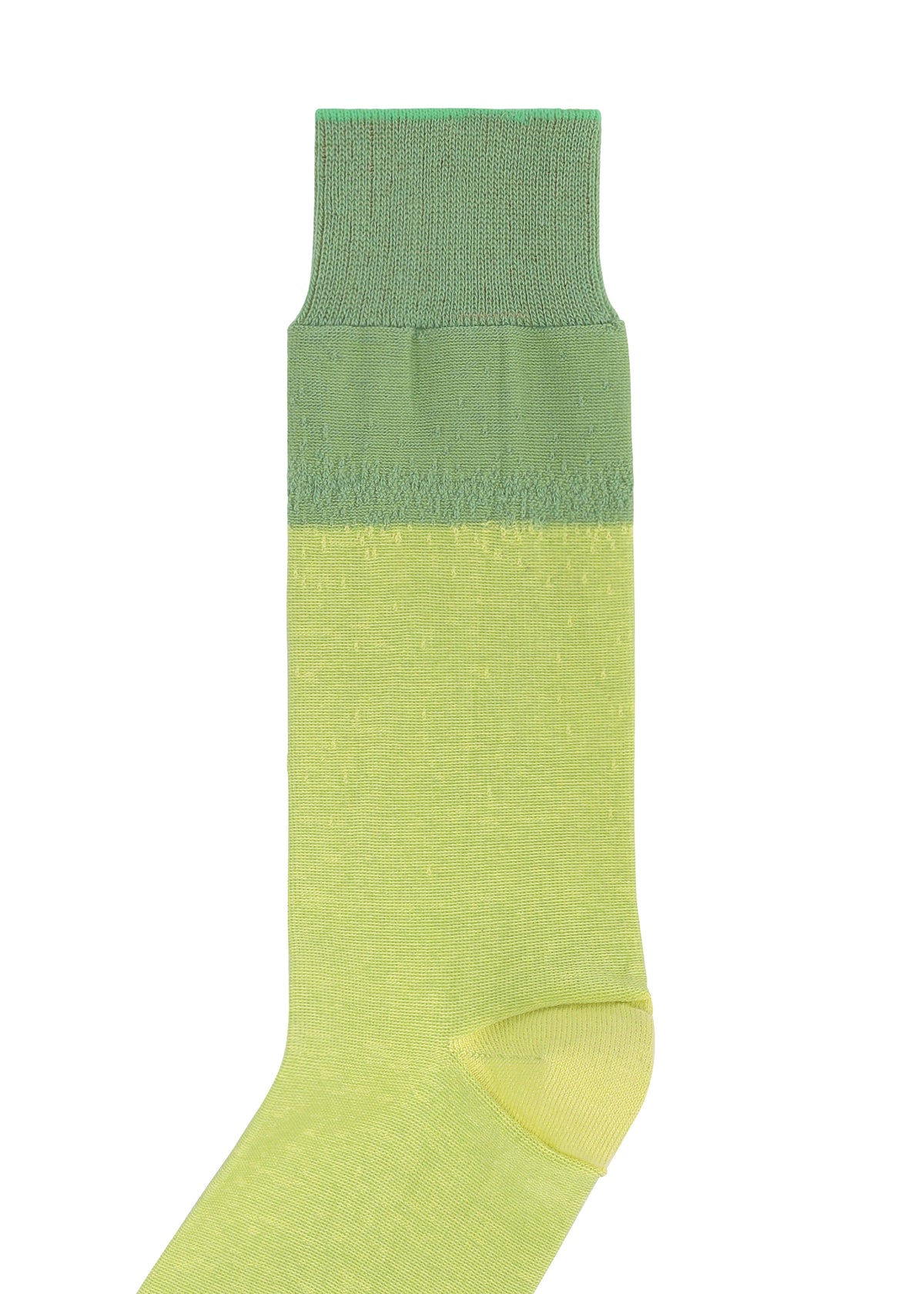 GRADATION SOCKS、アクセサリー&その他_レッグウェア&シューズ、ディテール画像1