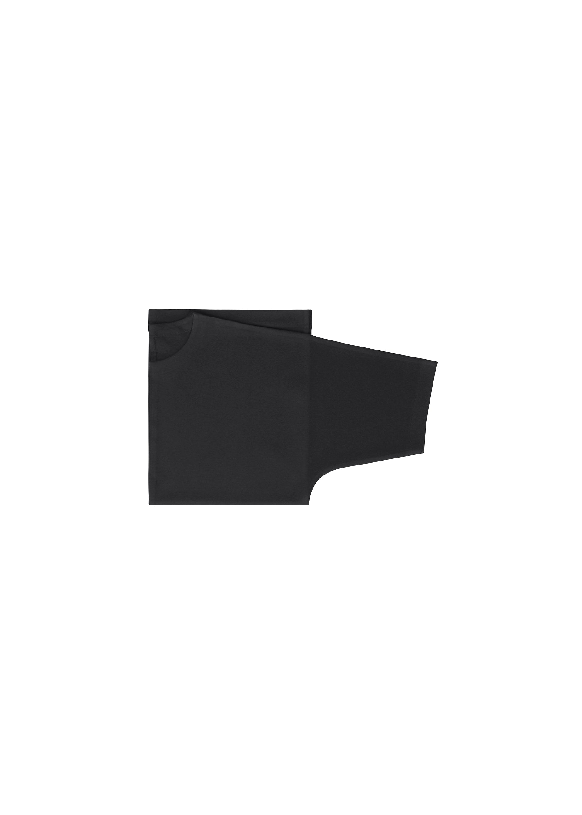 FLAT T – isseymiyake.com