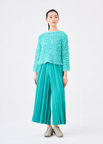 SHAGGY PLEATS、ウィメンズ_トップス_トップ、着用画像3