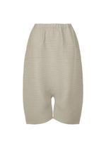 CORDUROY PLEATS