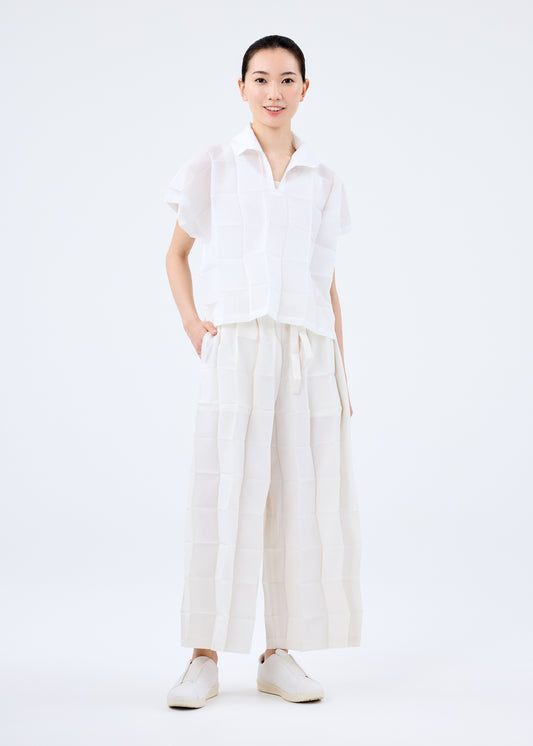 DICE PLEATS BOTTOM、ウィメンズ_パンツ、着用画像1