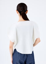 CLOVER PLEATS、ウィメンズ_トップス_トップ、着用画像2